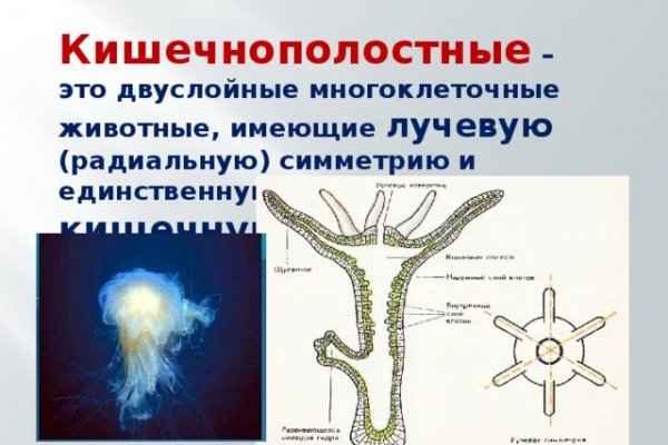 Кракен даркнет тор