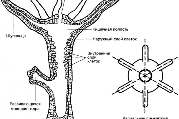 Найдется все кракен