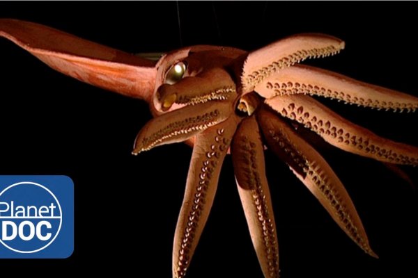 Kraken 22at