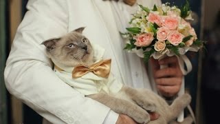 Кракен маркетплейс что там продают