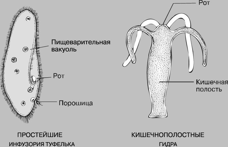 Как войти на сайт кракен